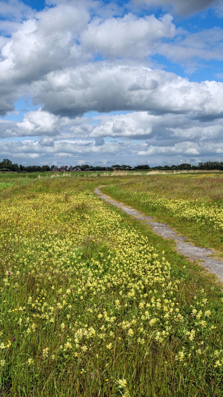 Green Grass Field Under White Clouds and Blue Sky During Daytime. Wallpaper in 720x1280 Resolution