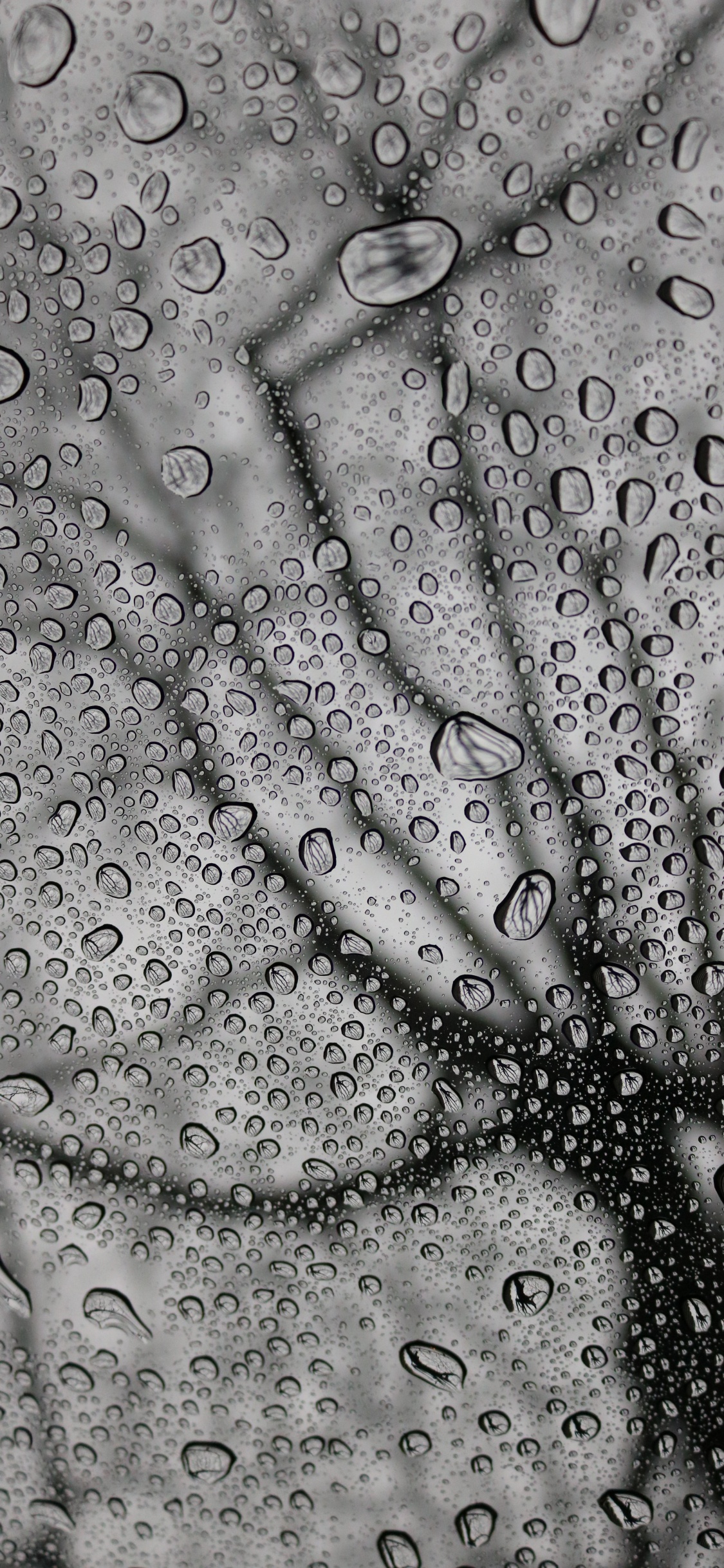 Pluie, Monochrome, Conception, Noir et Blanc, Météo. Wallpaper in 1125x2436 Resolution