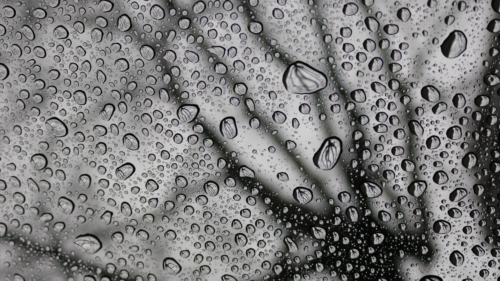 Pluie, Monochrome, Conception, Noir et Blanc, Météo. Wallpaper in 1920x1080 Resolution