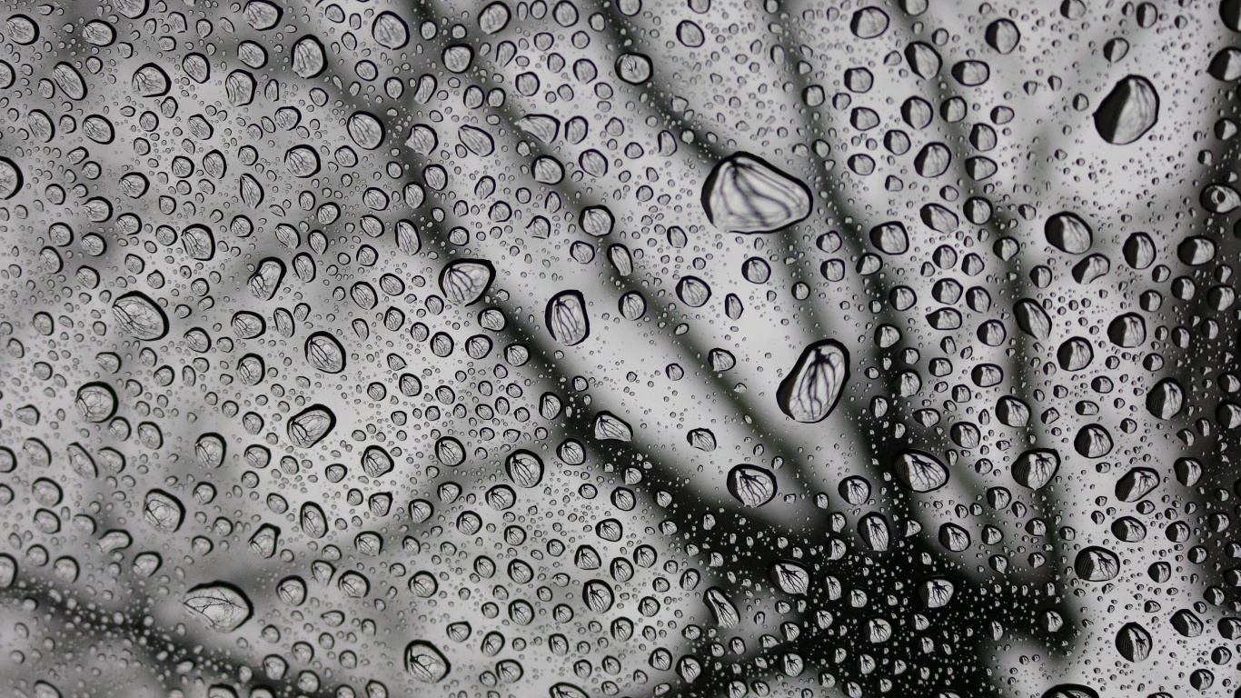 Lluvia, Monocromo, Diseño, Patrón, en Blanco y Negro. Wallpaper in 1366x768 Resolution