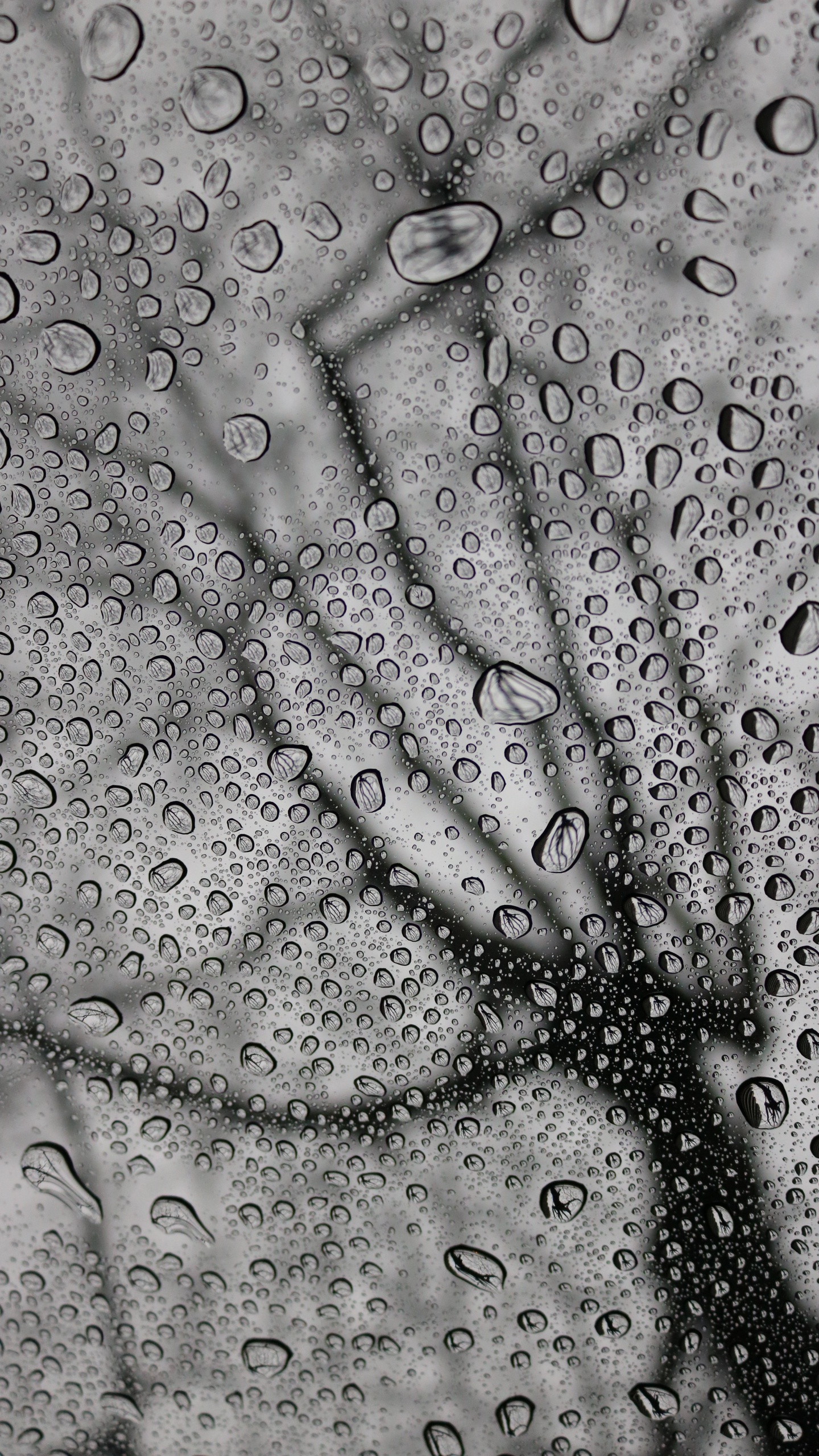 Lluvia, Monocromo, Diseño, Patrón, en Blanco y Negro. Wallpaper in 1440x2560 Resolution