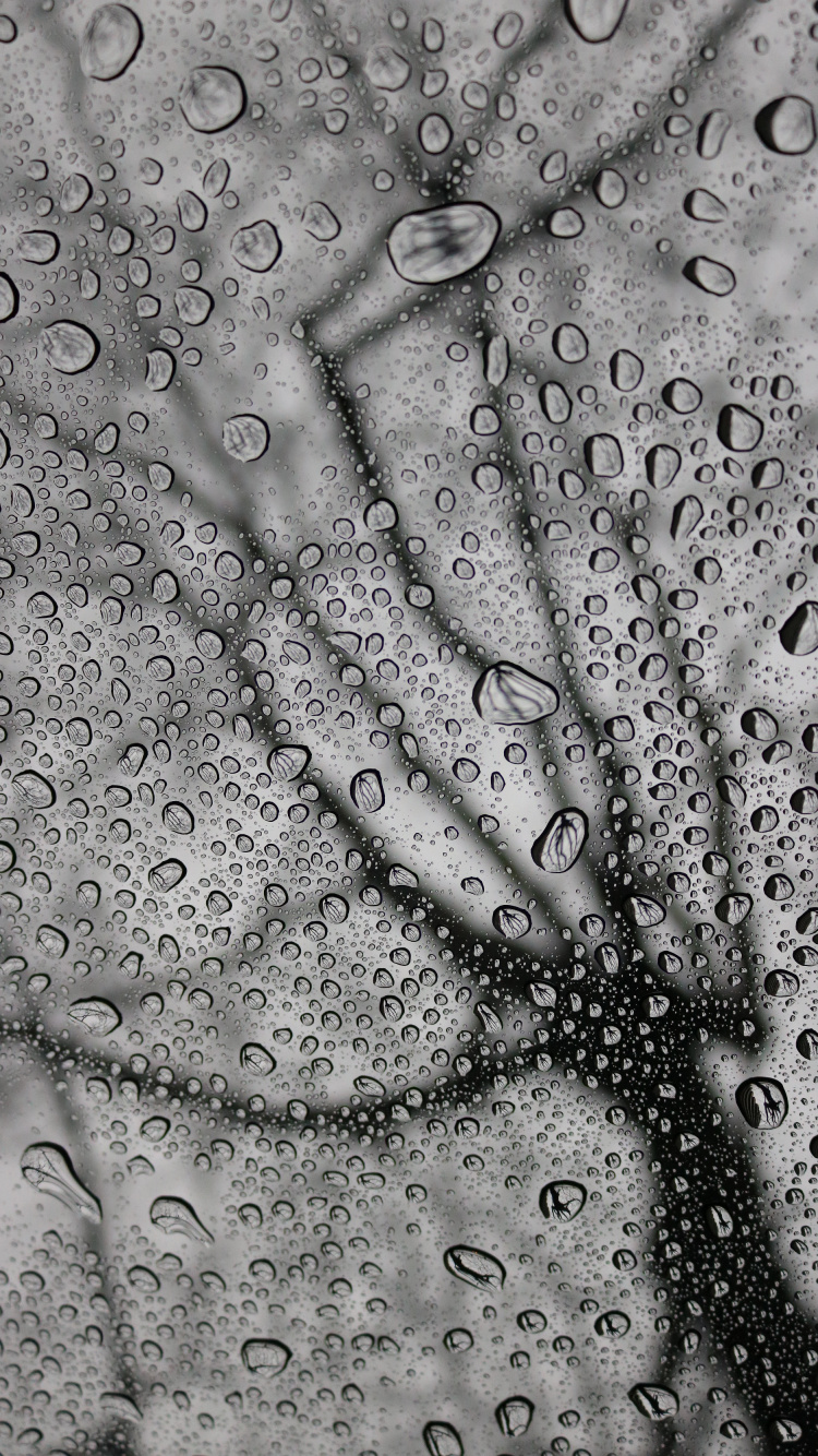 Lluvia, Monocromo, Diseño, Patrón, en Blanco y Negro. Wallpaper in 750x1334 Resolution