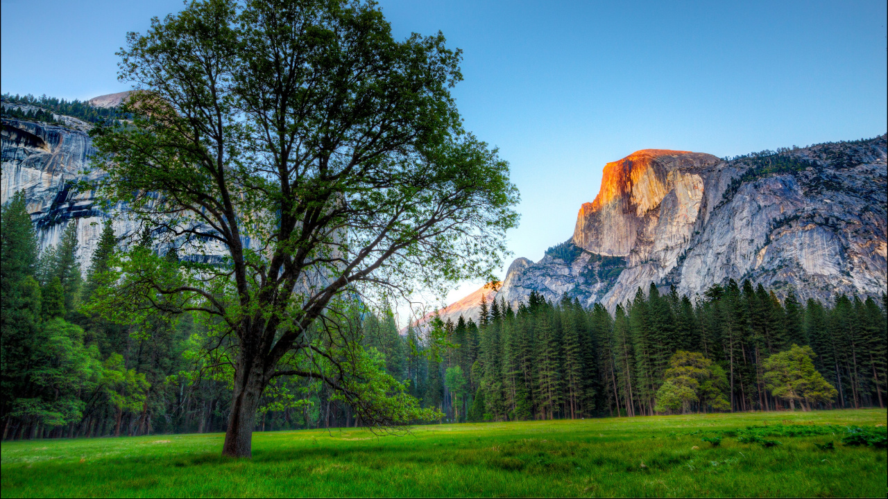 Green Trees on Green Grass Field Near Brown Mountain Under Blue Sky During Daytime. Wallpaper in 1280x720 Resolution