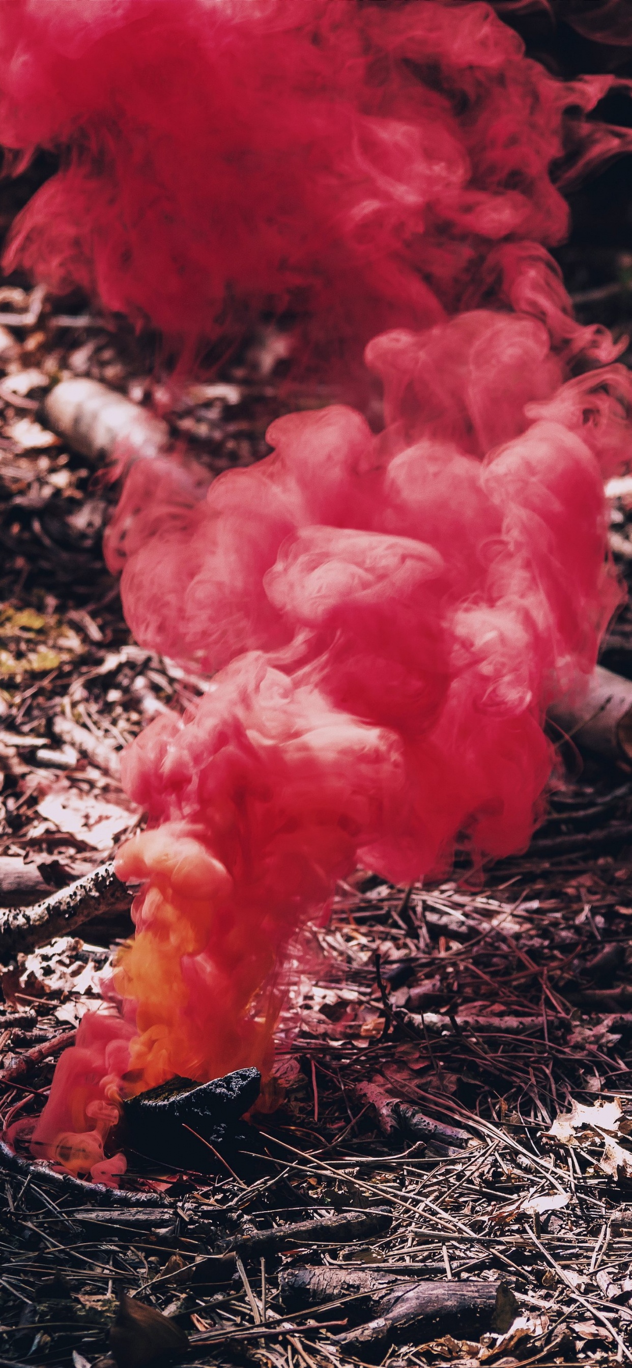 Humo Rojo Sobre Hojas Secas Marrones. Wallpaper in 1242x2688 Resolution