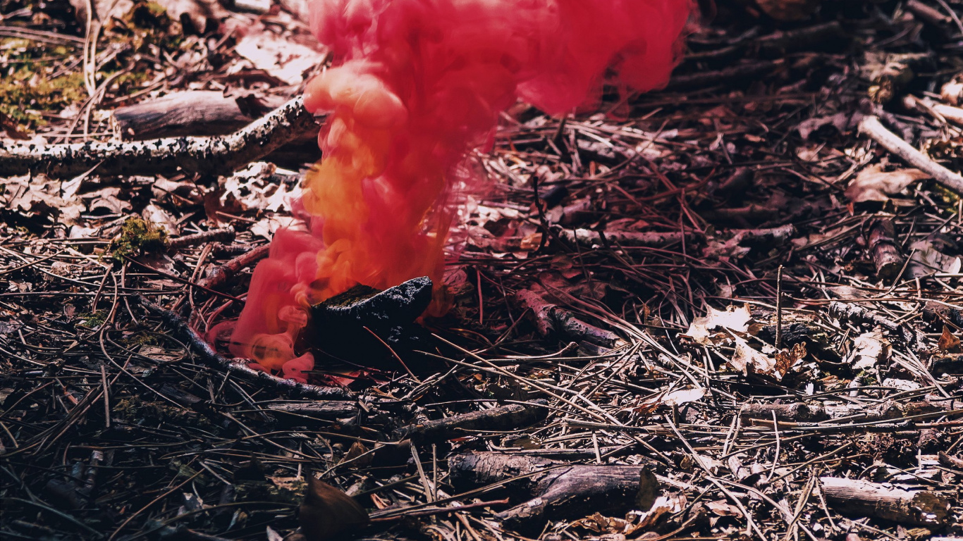 Humo Rojo Sobre Hojas Secas Marrones. Wallpaper in 1366x768 Resolution