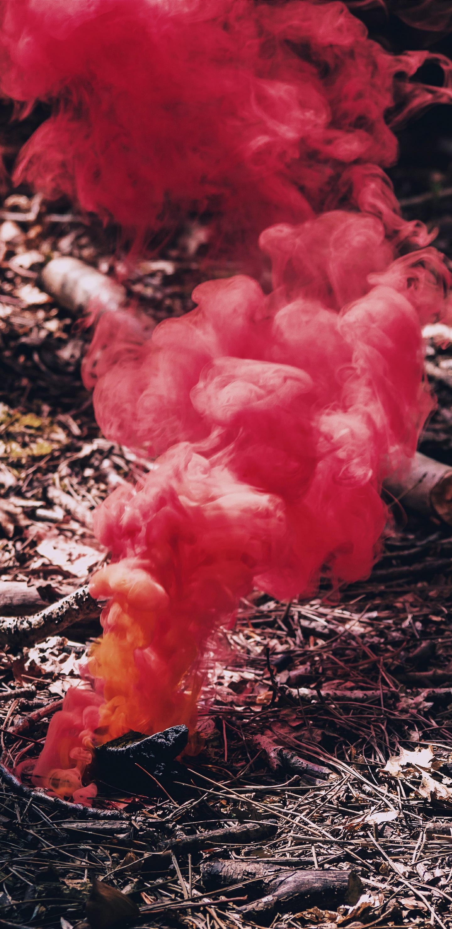 Humo Rojo Sobre Hojas Secas Marrones. Wallpaper in 1440x2960 Resolution