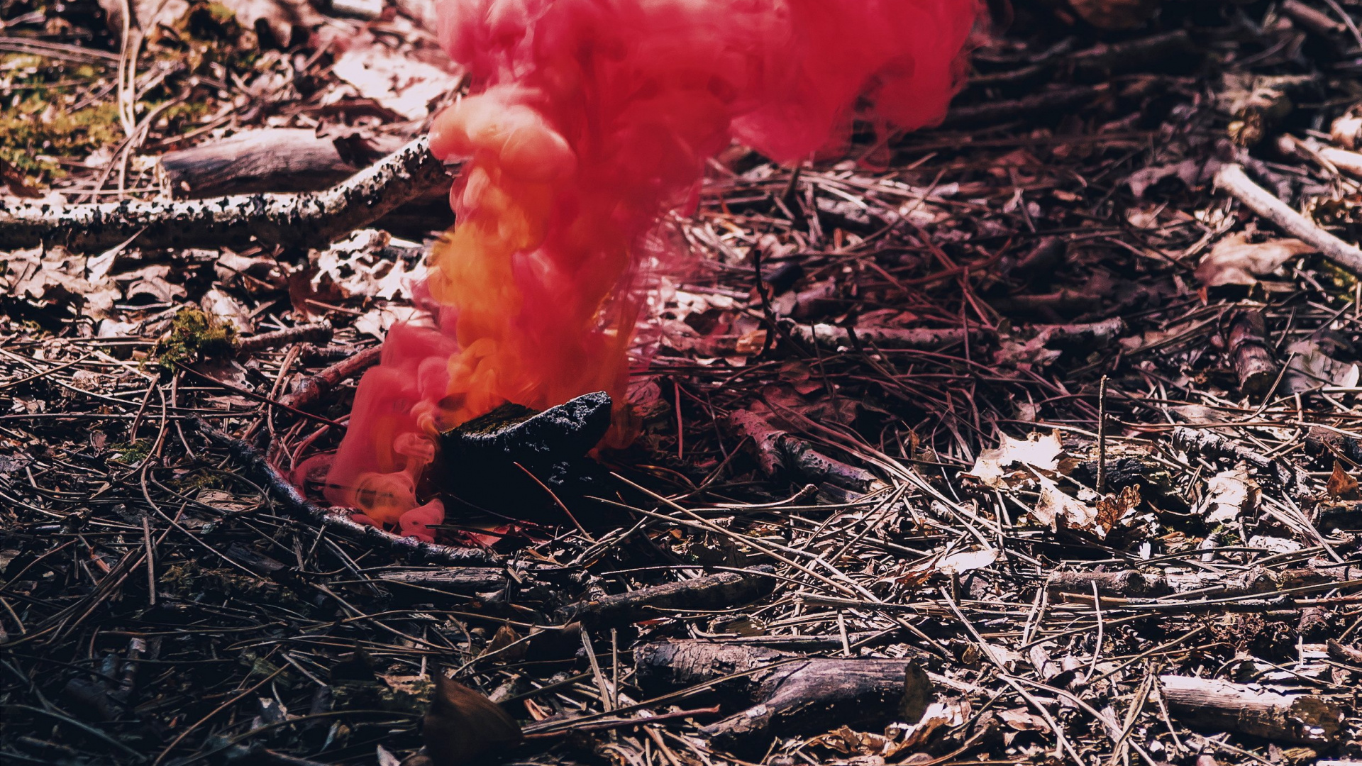 Humo Rojo Sobre Hojas Secas Marrones. Wallpaper in 1920x1080 Resolution