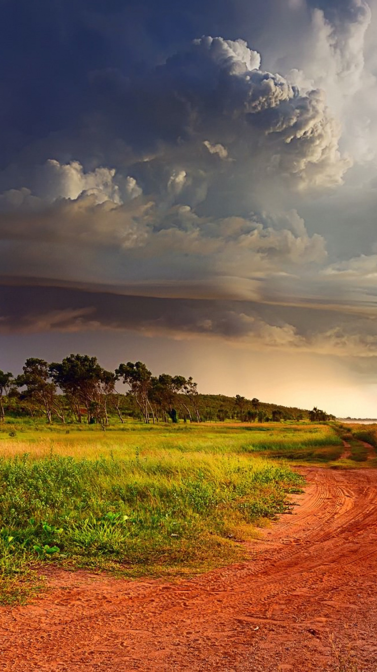 Champ D'herbe Verte Sous un Ciel Nuageux Pendant la Journée. Wallpaper in 750x1334 Resolution