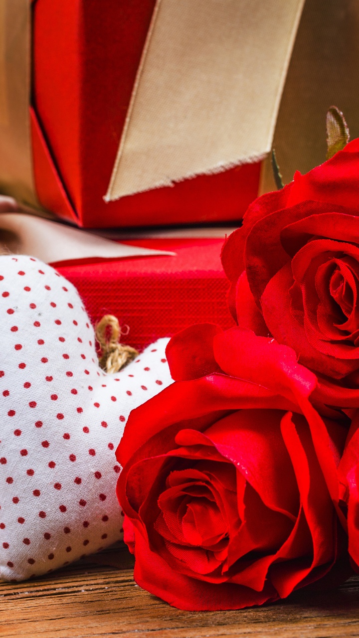 le Jour de Valentines, Cadeau, Rose de Plage, Pétale, Orange. Wallpaper in 720x1280 Resolution