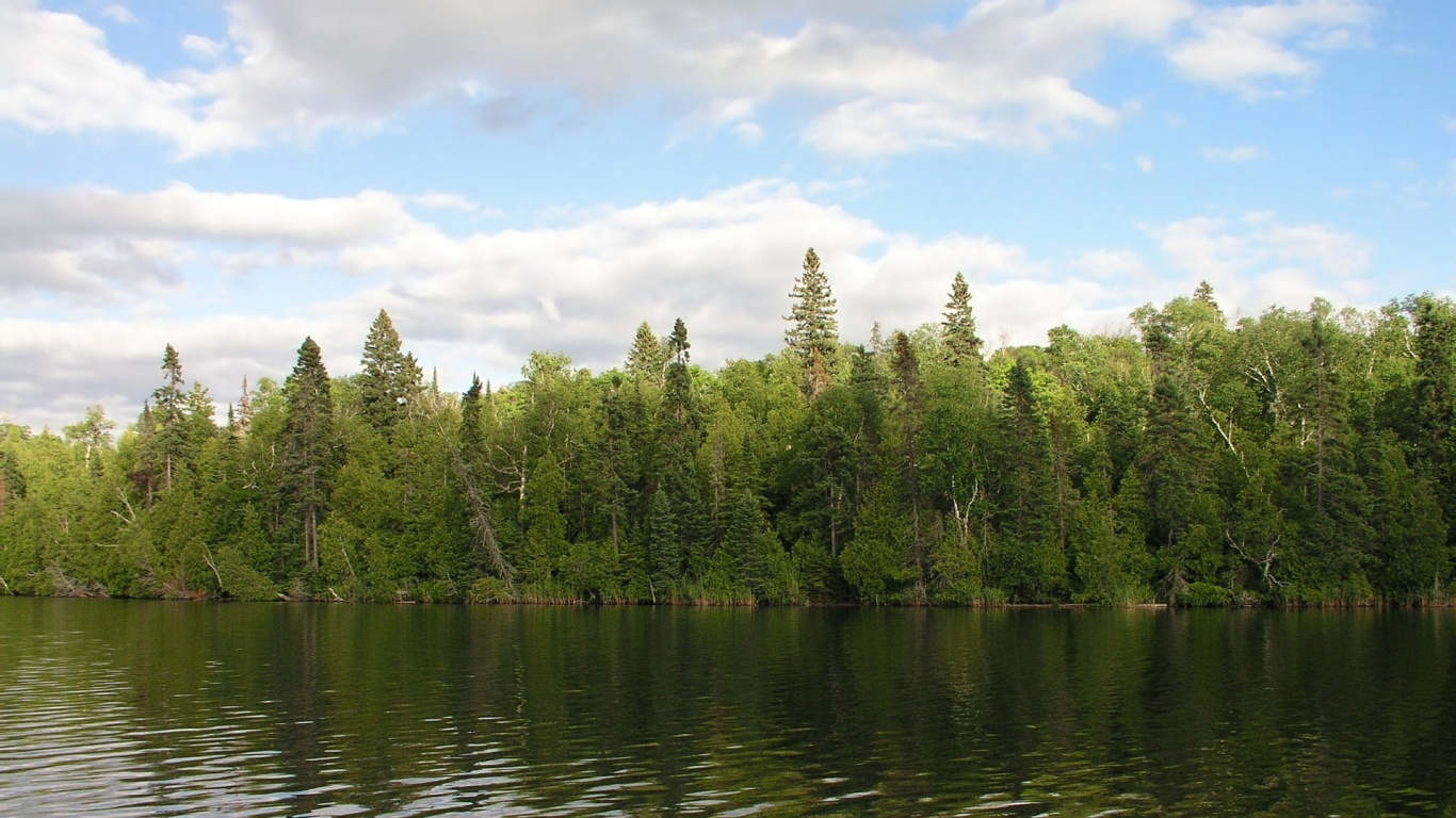 Green Trees Beside Body of Water Under Blue Sky During Daytime. Wallpaper in 1366x768 Resolution