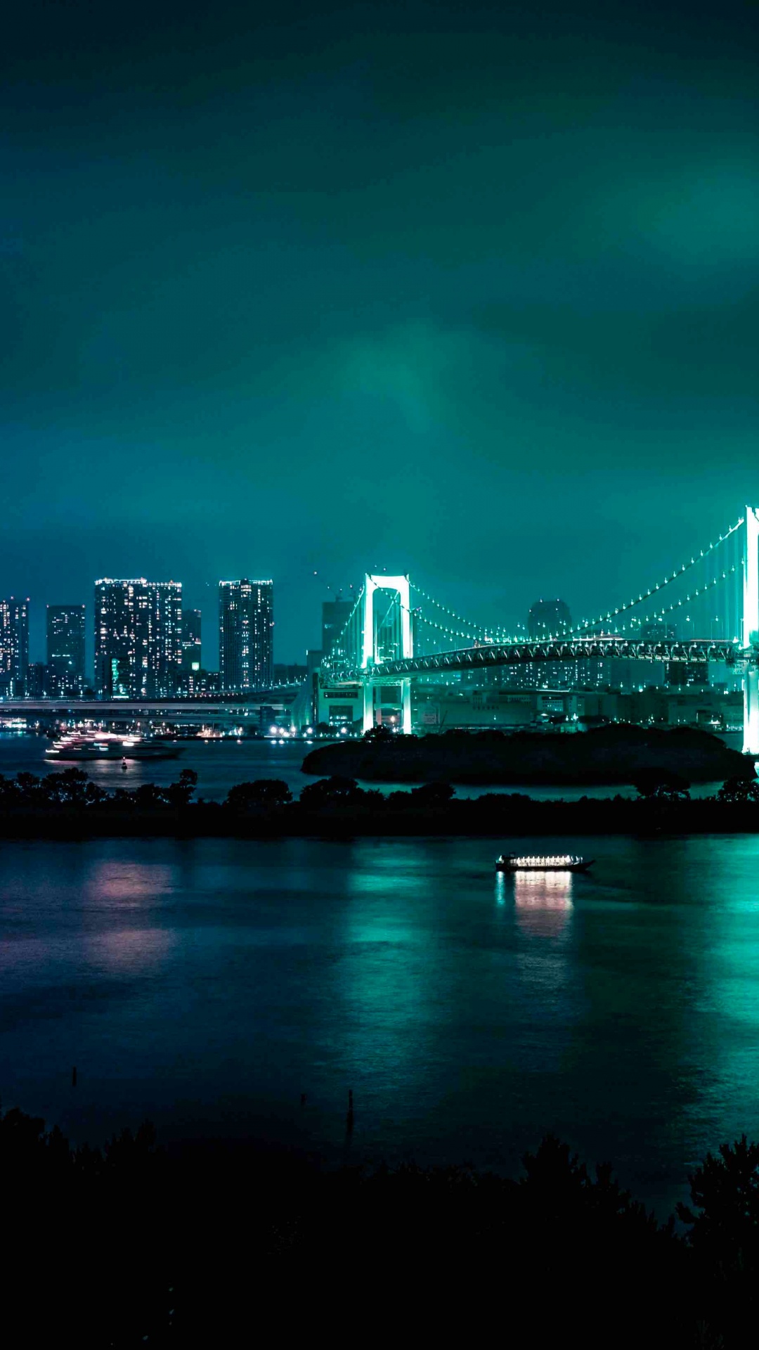 Puente Sobre el Agua Cerca Del Horizonte de la Ciudad Durante la Noche. Wallpaper in 1080x1920 Resolution