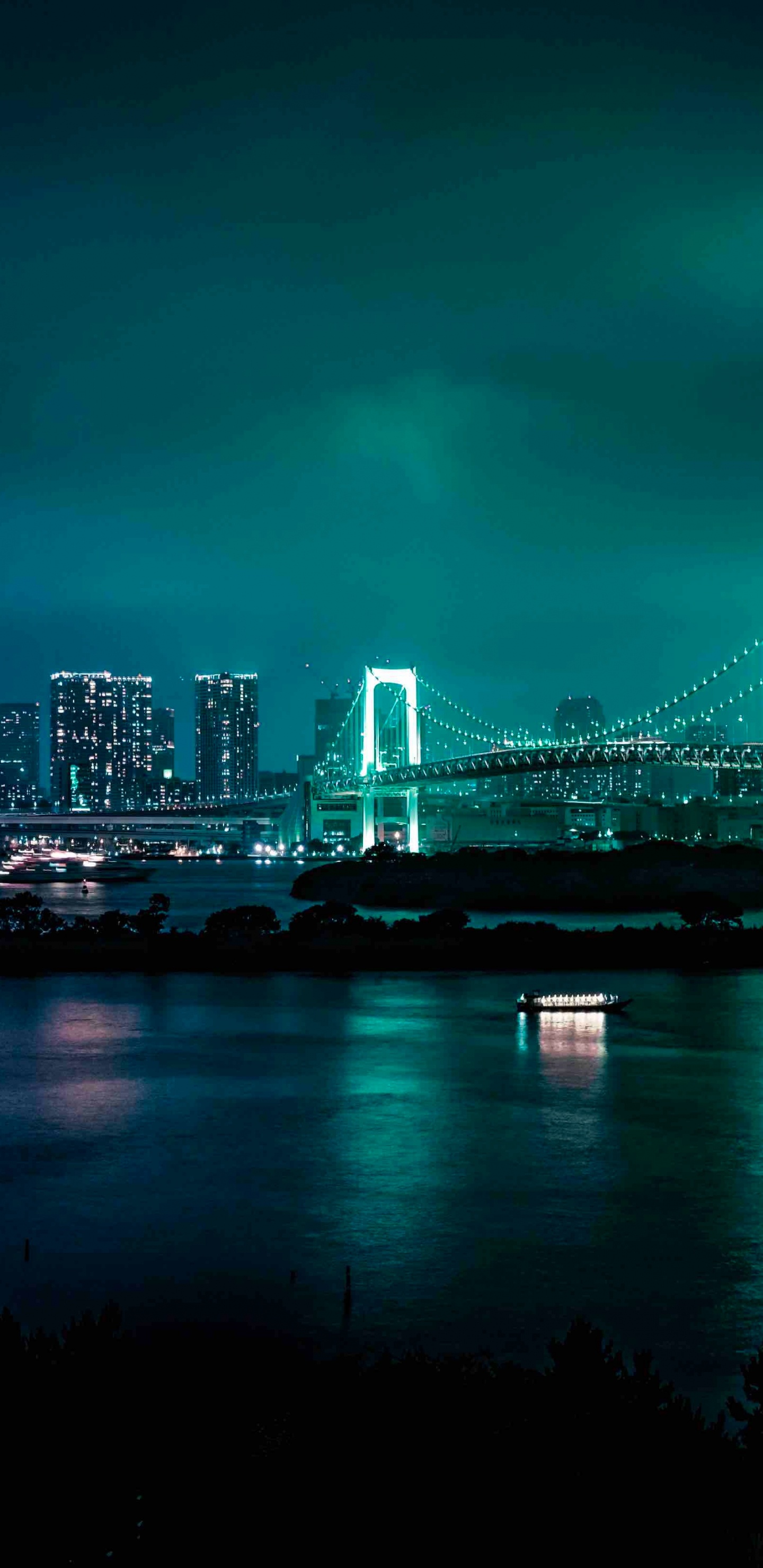 Pont Au-dessus de L'eau Près Des Toits de la Ville Pendant la Nuit. Wallpaper in 1440x2960 Resolution