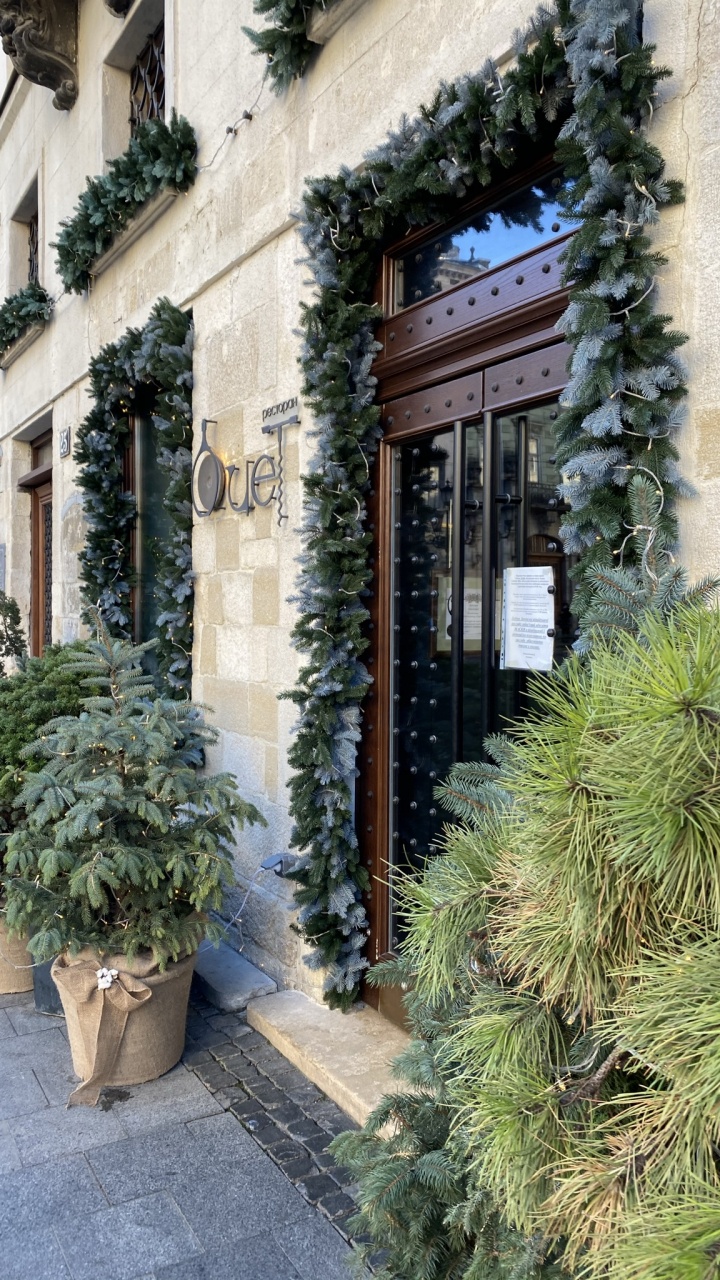 Tree, Christmas Decoration, Real Estate, Flowerpot, Neighbourhood. Wallpaper in 720x1280 Resolution