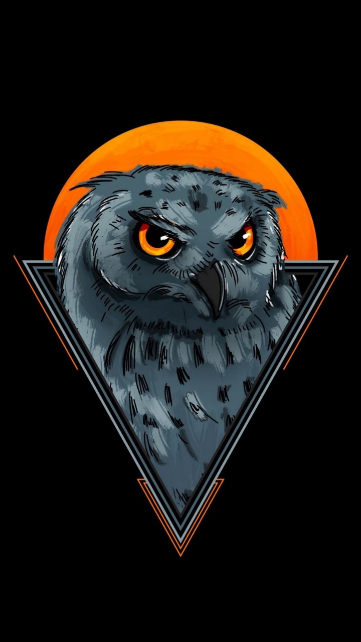 Head, Bird, Eye, Owl, Beak. Wallpaper in 720x1280 Resolution
