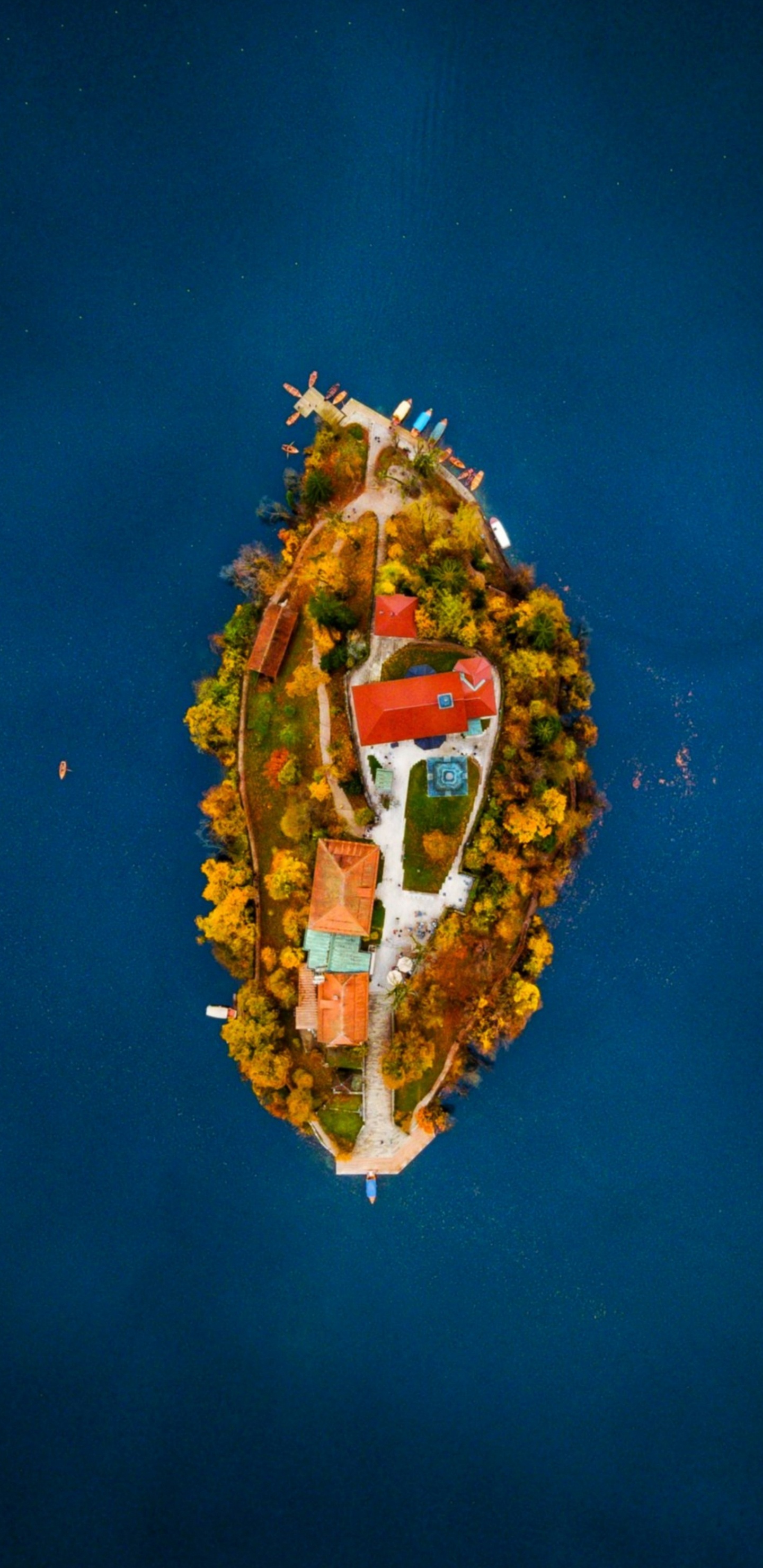 Immobilier, Motomarine, Corps Humain, Geste, Emblème. Wallpaper in 1440x2960 Resolution