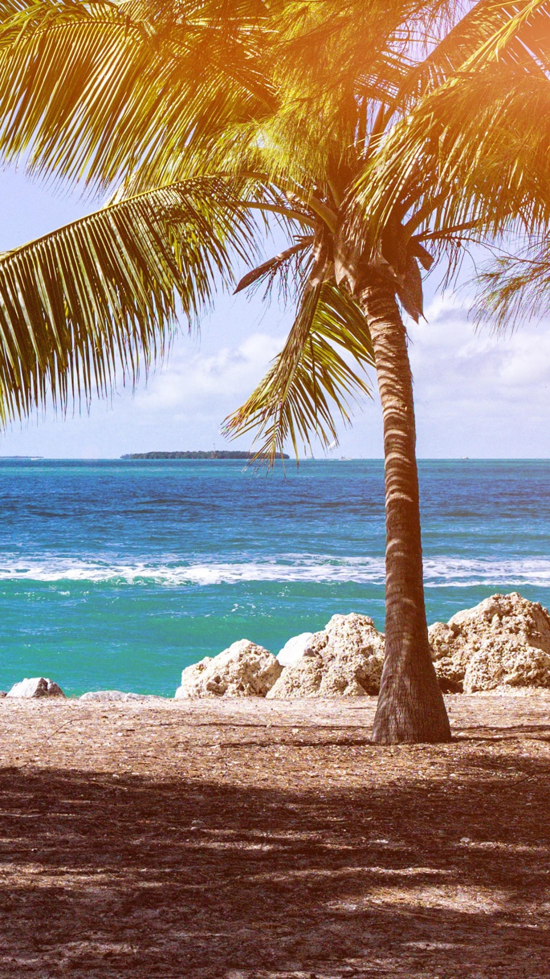 Coconut Tree Near Sea Shore During Daytime. Wallpaper in 1080x1920 Resolution