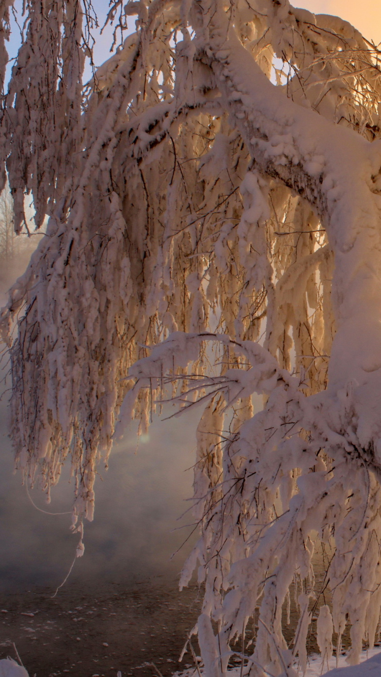 Weißer Schneebedeckter Berg Tagsüber. Wallpaper in 750x1334 Resolution
