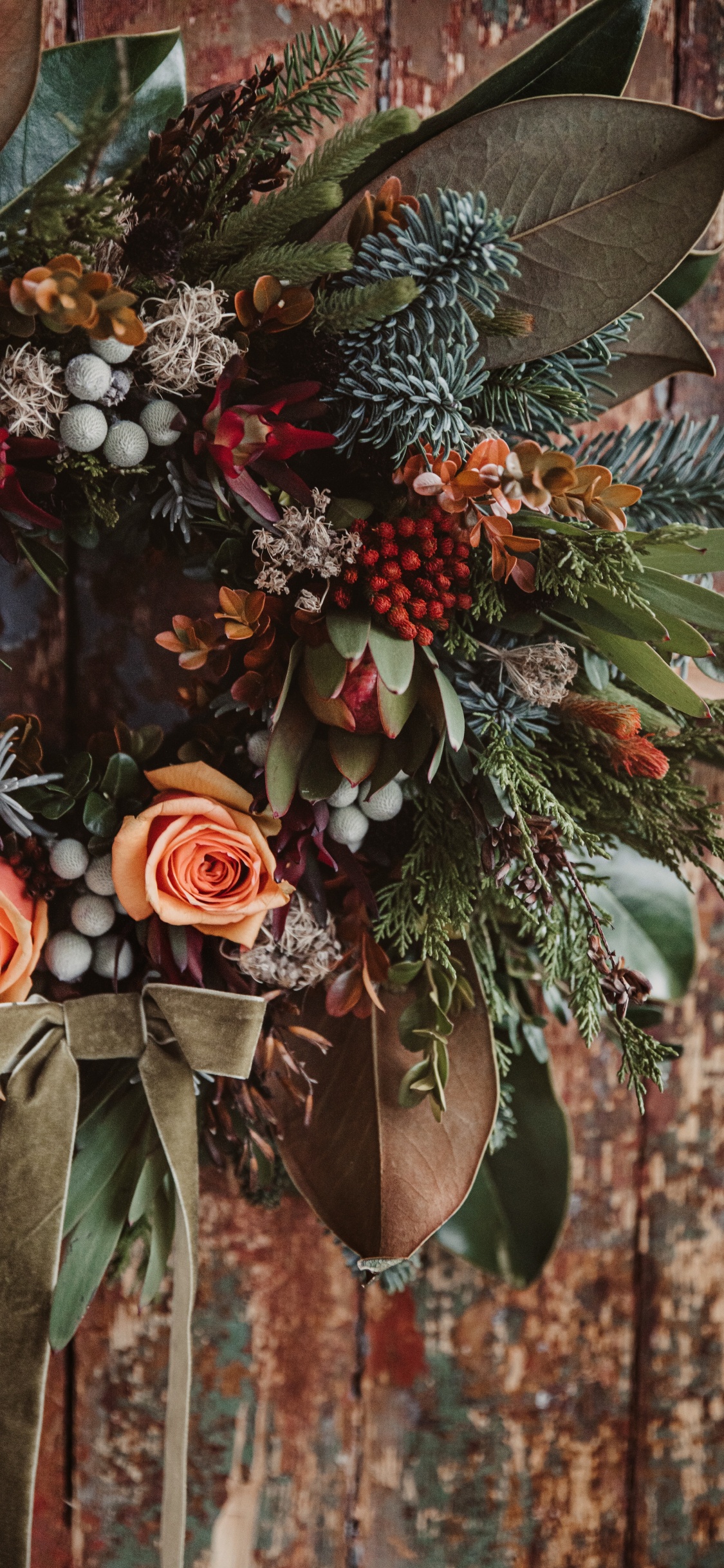 Roses Roses Avec Des Feuilles Vertes. Wallpaper in 1125x2436 Resolution