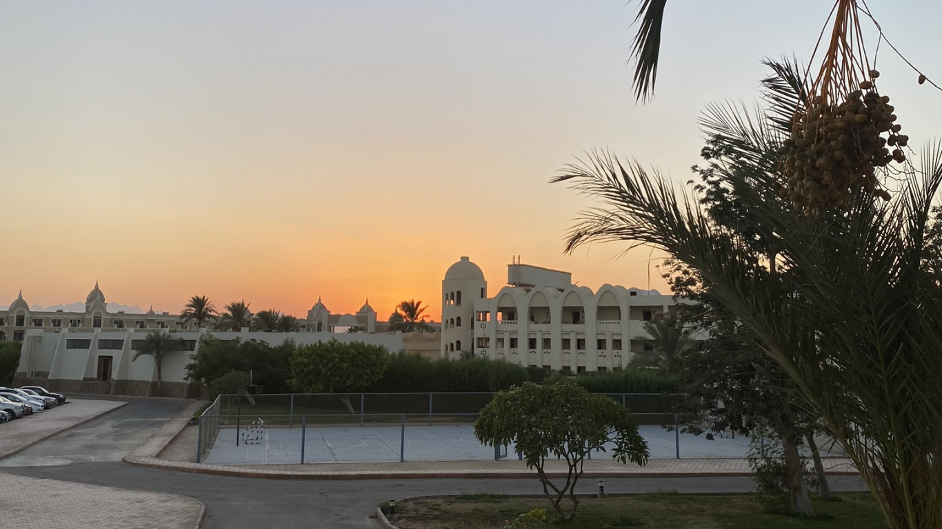 Eau, Palmier, Biologie, Plantes Ligneuses, Soir. Wallpaper in 1366x768 Resolution