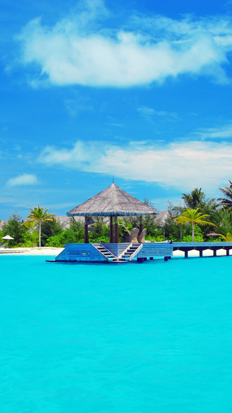 Braunes Und Weißes Holzhaus in Der Nähe Von Schwimmbad Unter Blauem Himmel Tagsüber During. Wallpaper in 750x1334 Resolution