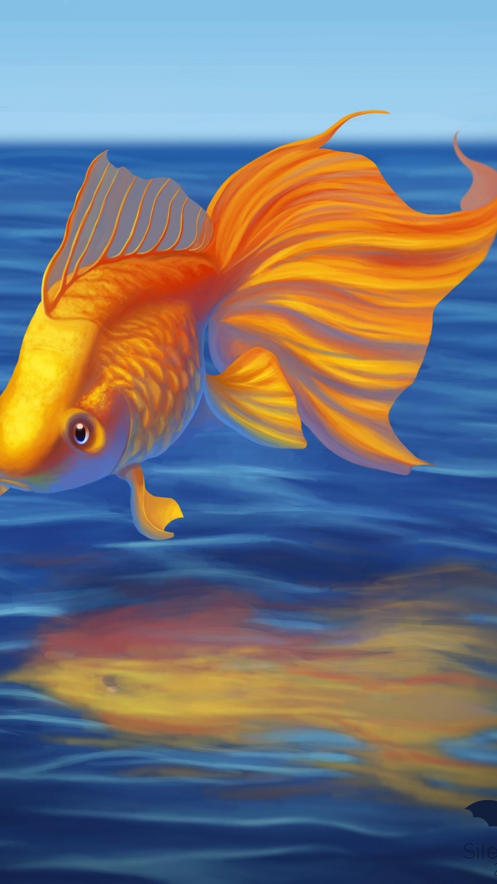 Poisson Orange et Blanc Dans L'eau. Wallpaper in 720x1280 Resolution