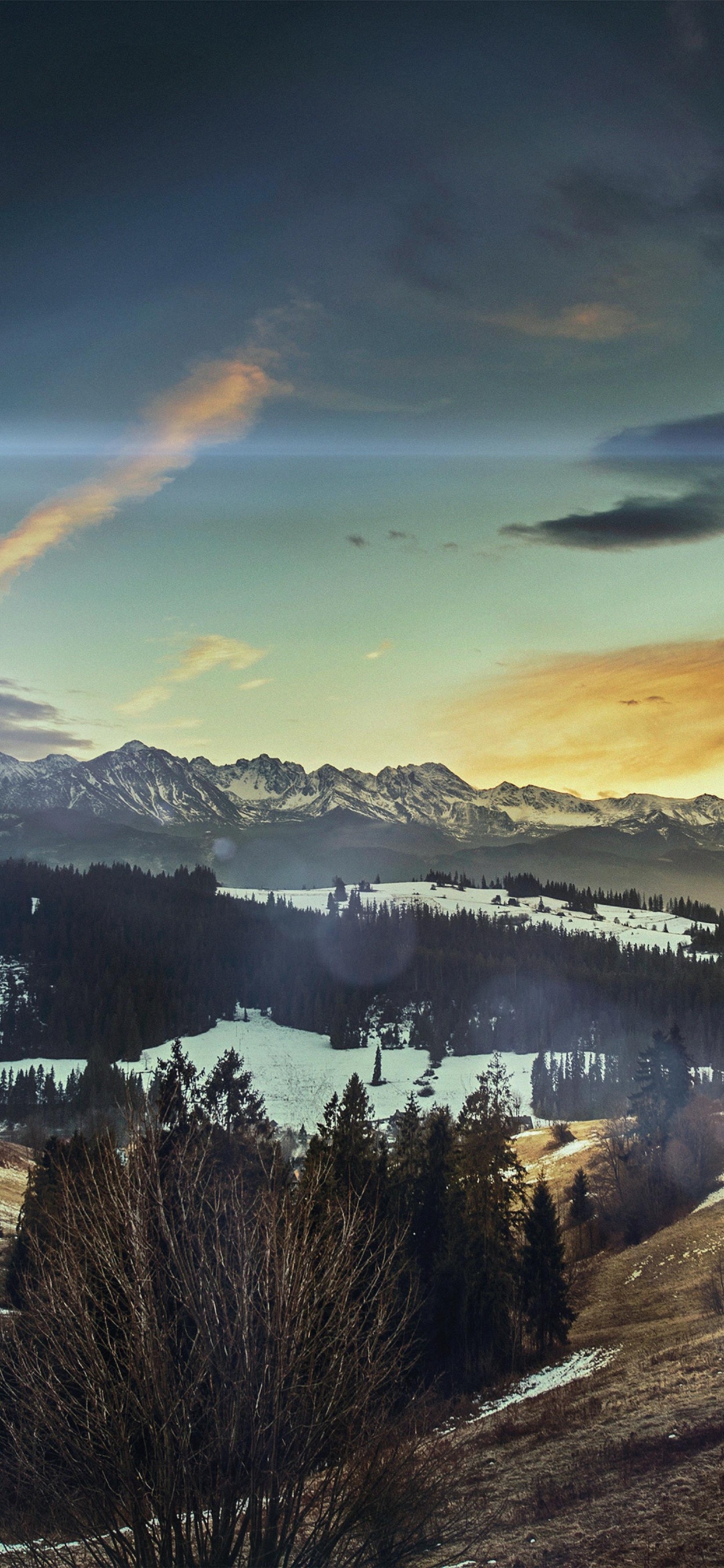 性质, 气氛, 水资源, 生态区, 自然景观 壁纸 1242x2688 允许