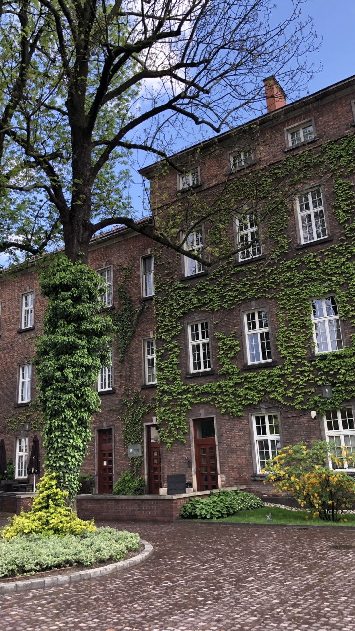 Haus, Fenster, Eigenschaft, Gebäude, Wohngebiet. Wallpaper in 720x1280 Resolution