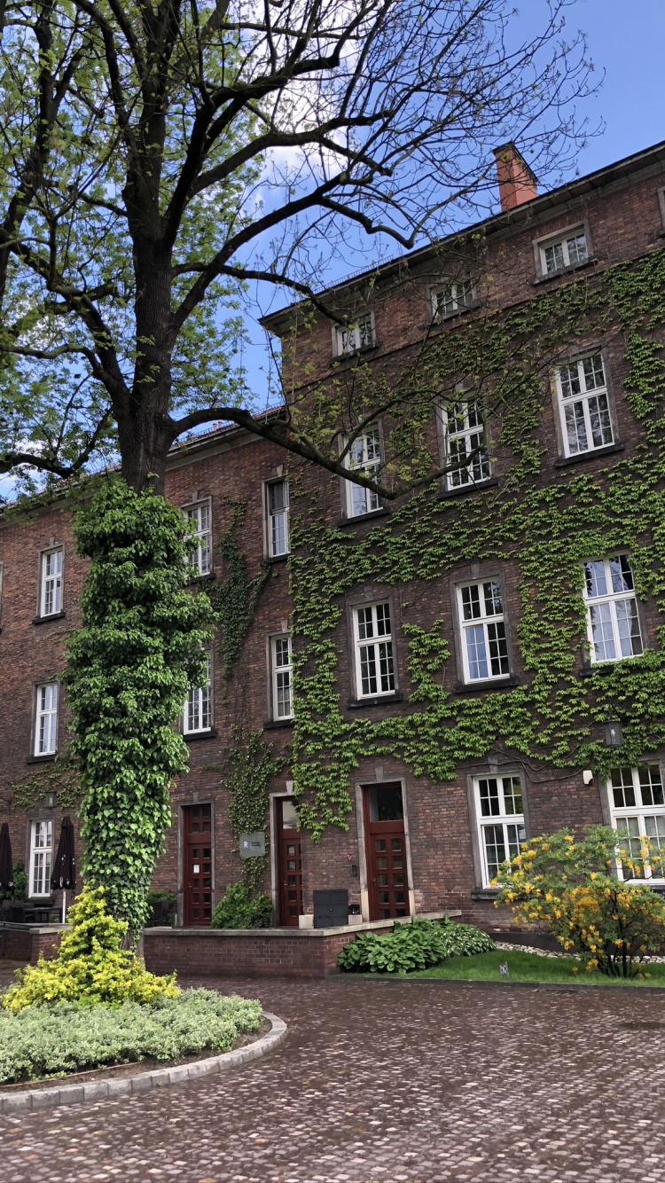 House, Window, Property, Building, Residential Area. Wallpaper in 750x1334 Resolution