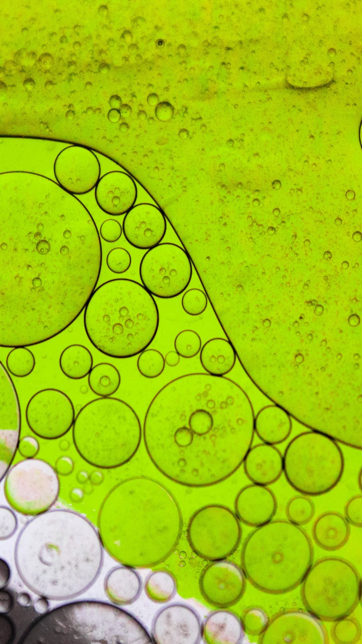 Feuille, Lumière, Eau, Liquid, Green. Wallpaper in 720x1280 Resolution