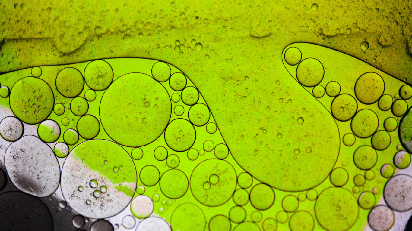 Leaf, Light, Water, Liquid, Green. Wallpaper in 1366x768 Resolution