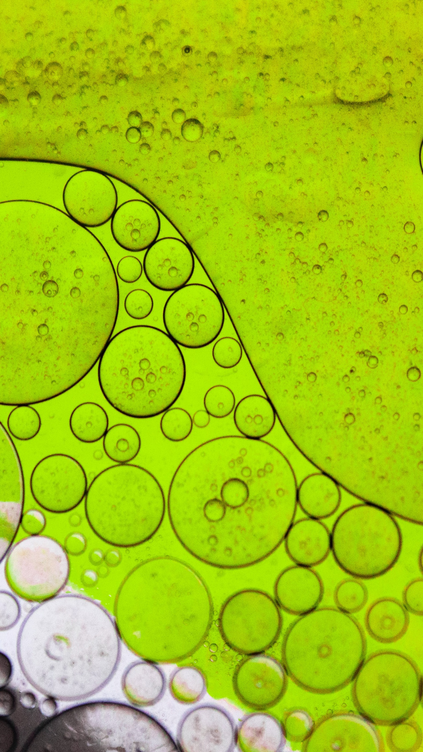 Leaf, Light, Water, Liquid, Green. Wallpaper in 1440x2560 Resolution