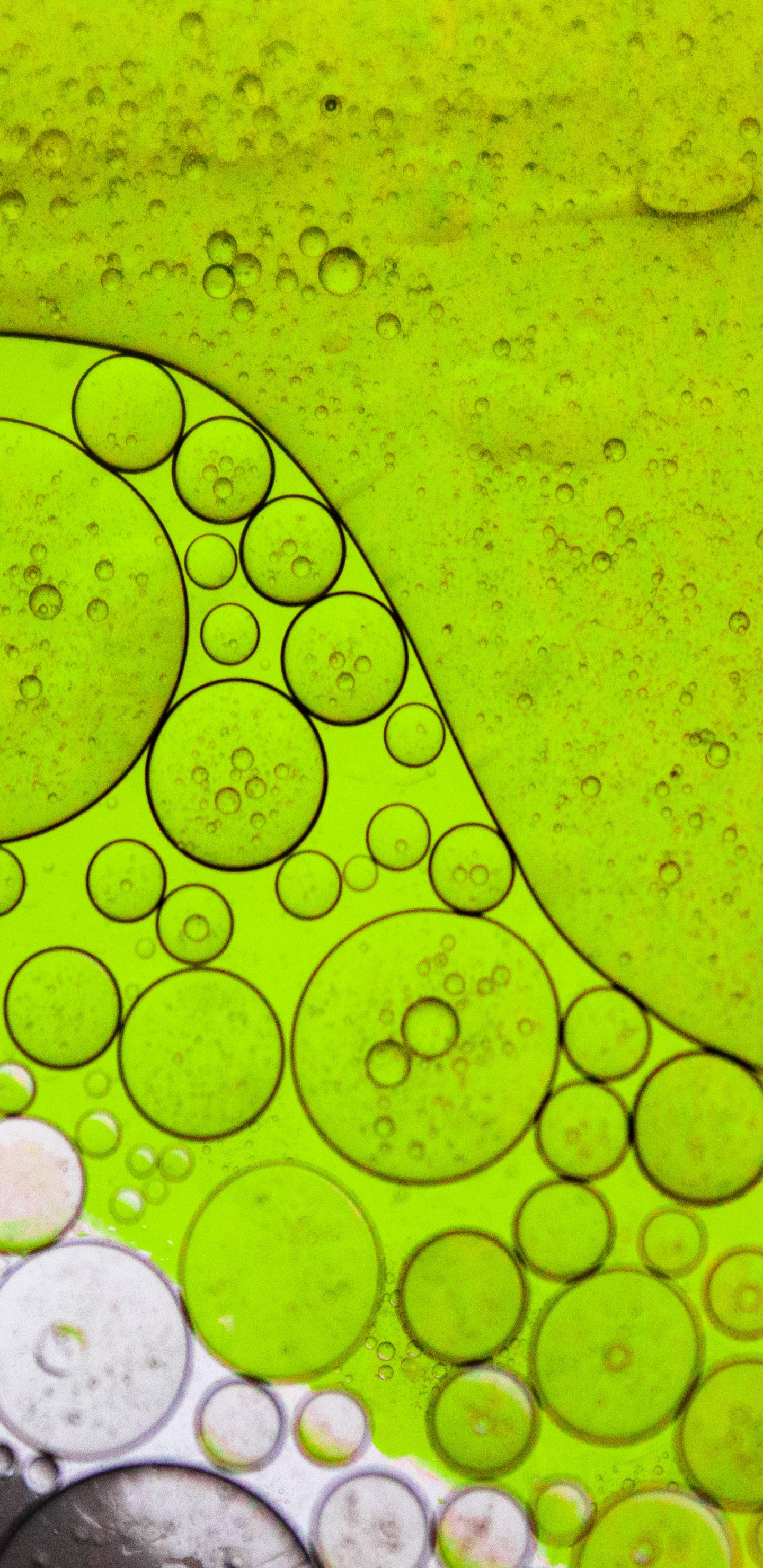 Leaf, Light, Water, Liquid, Green. Wallpaper in 1440x2960 Resolution