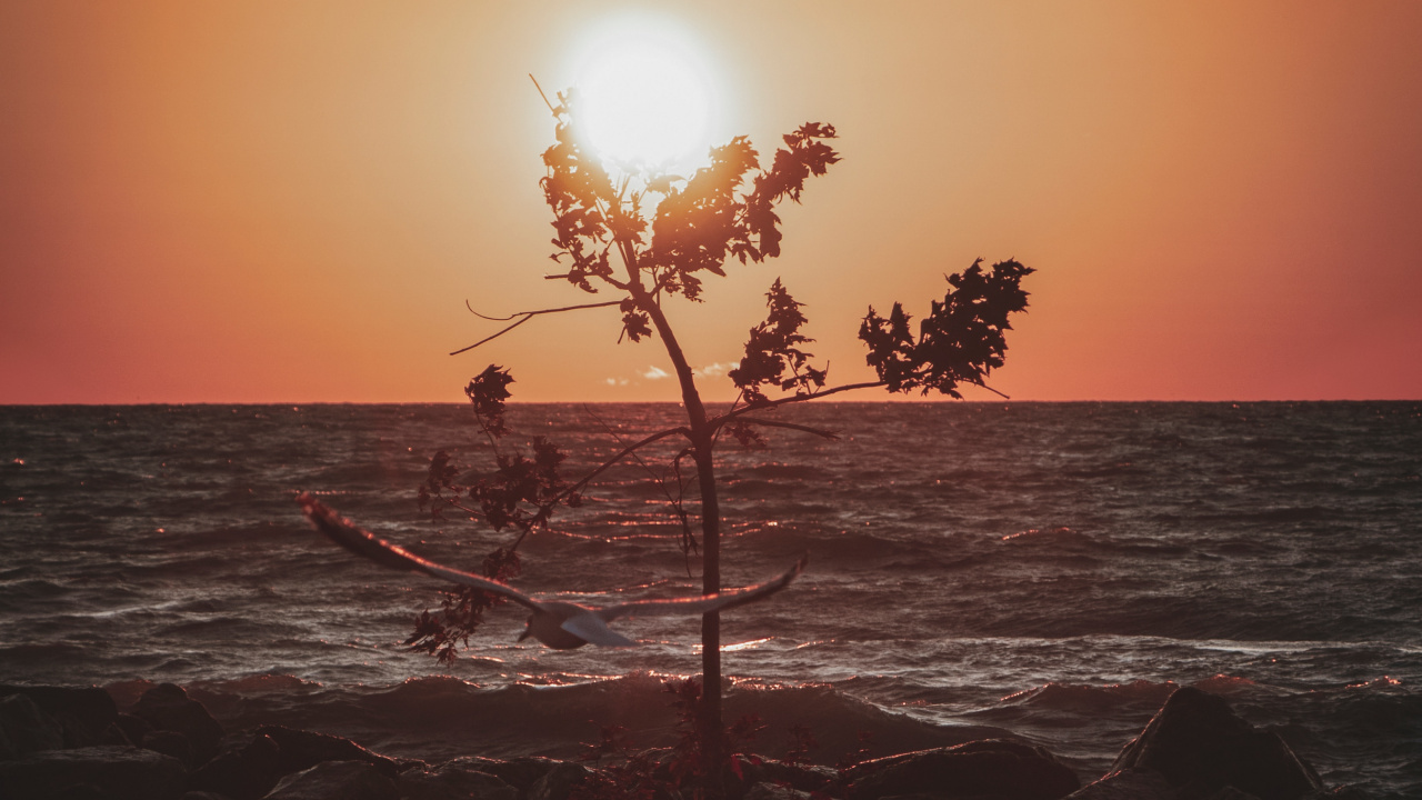 Puesta, Mar, Oceano, Sol, Paisaje Natural. Wallpaper in 1280x720 Resolution