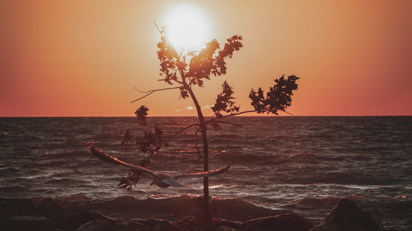 Puesta, Mar, Oceano, Sol, Paisaje Natural. Wallpaper in 1366x768 Resolution