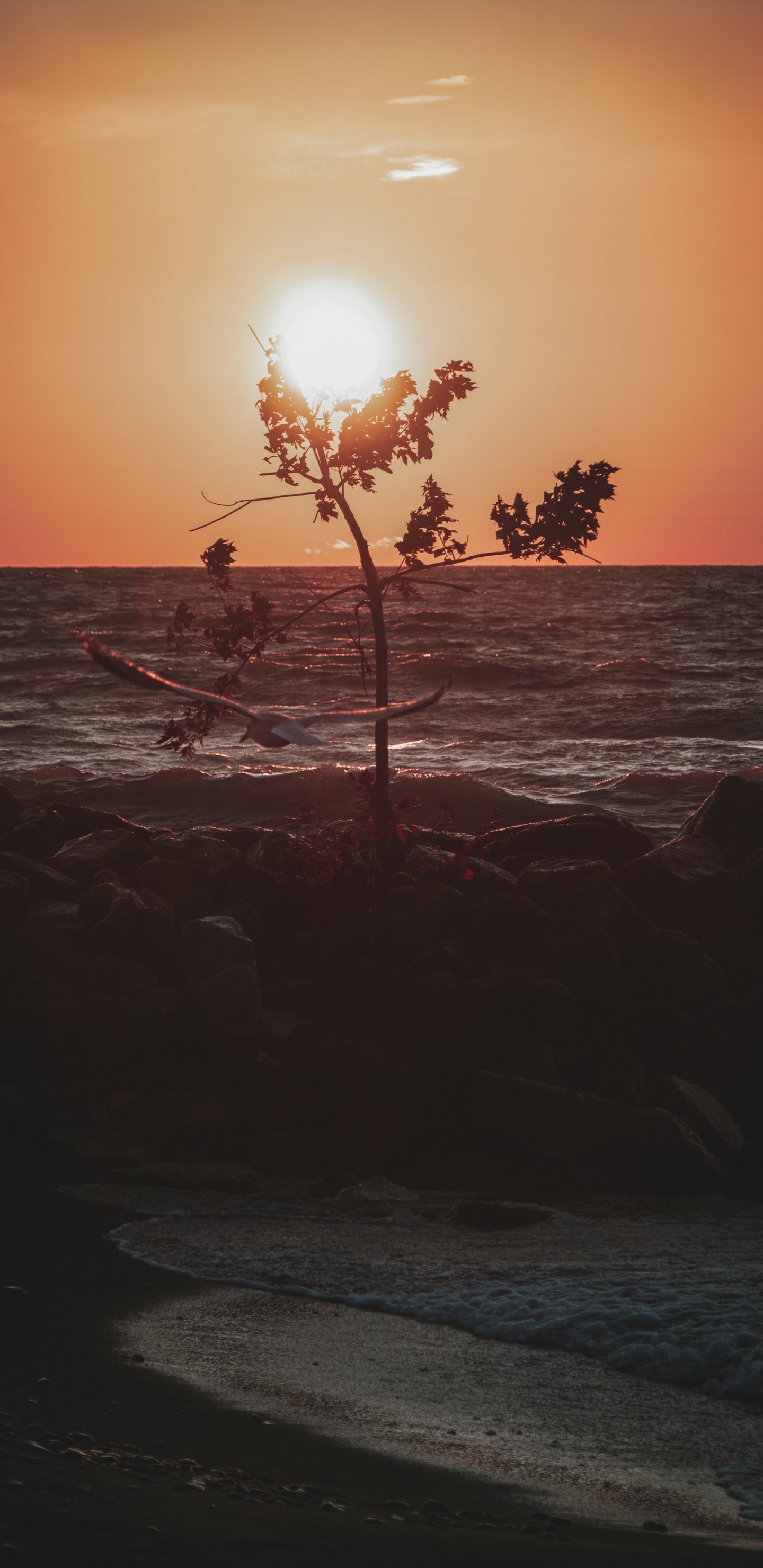 Puesta, Mar, Oceano, Sol, Paisaje Natural. Wallpaper in 1440x2960 Resolution