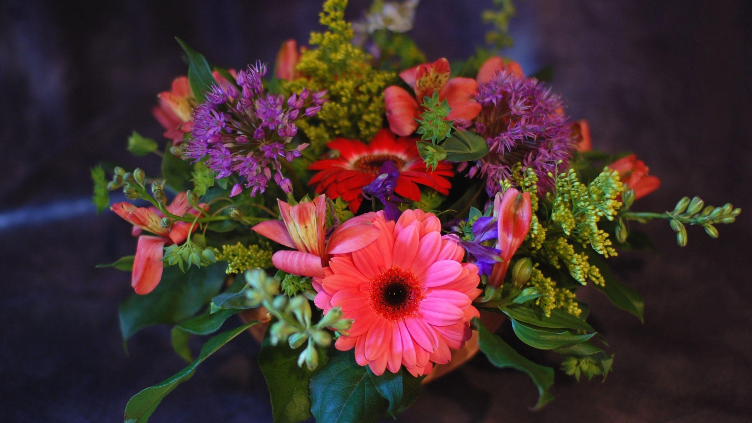 Pink and Yellow Flowers With Green Leaves. Wallpaper in 2560x1440 Resolution