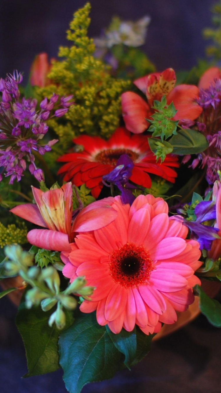 Pink and Yellow Flowers With Green Leaves. Wallpaper in 750x1334 Resolution