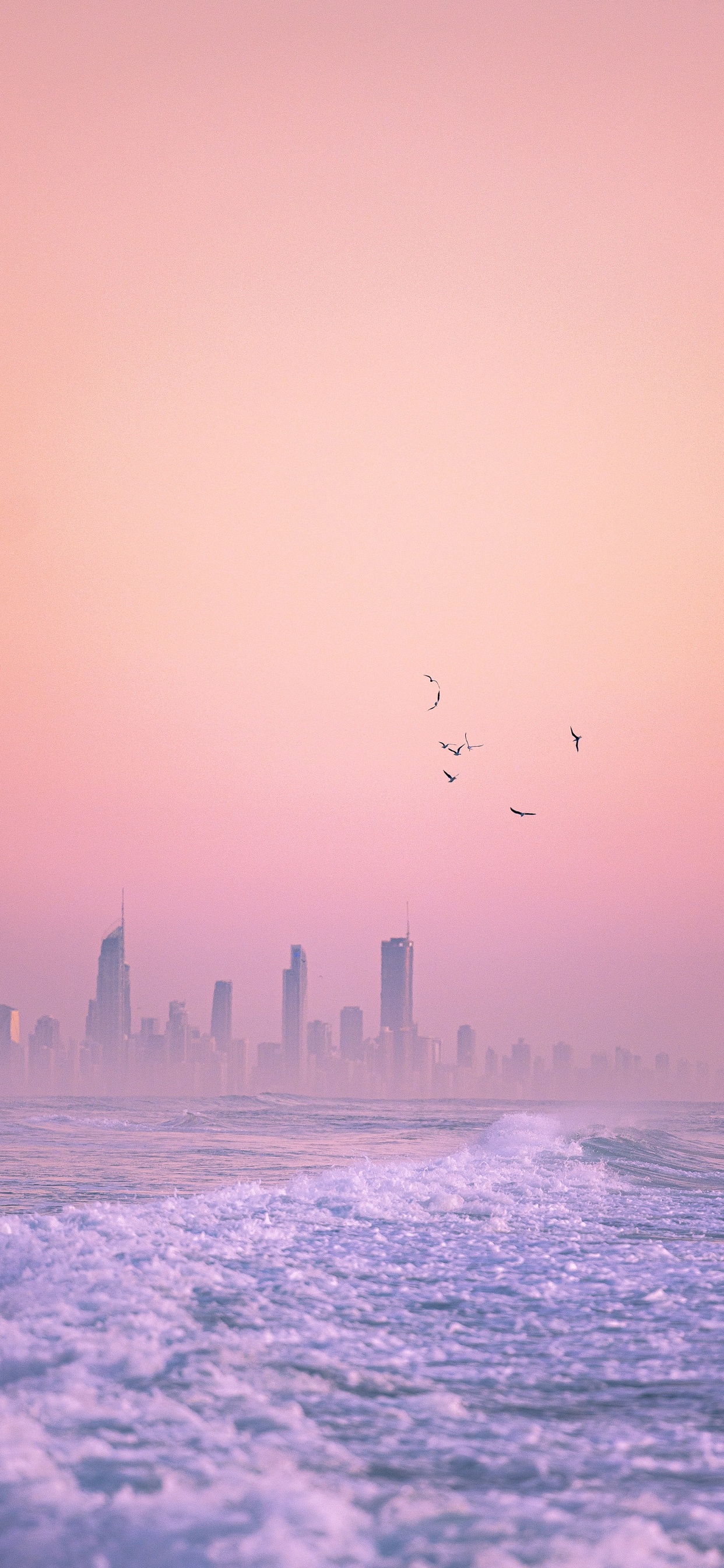 Horizon, Hardcover 3, Water, Atmosphere, Bird. Wallpaper in 1242x2688 Resolution