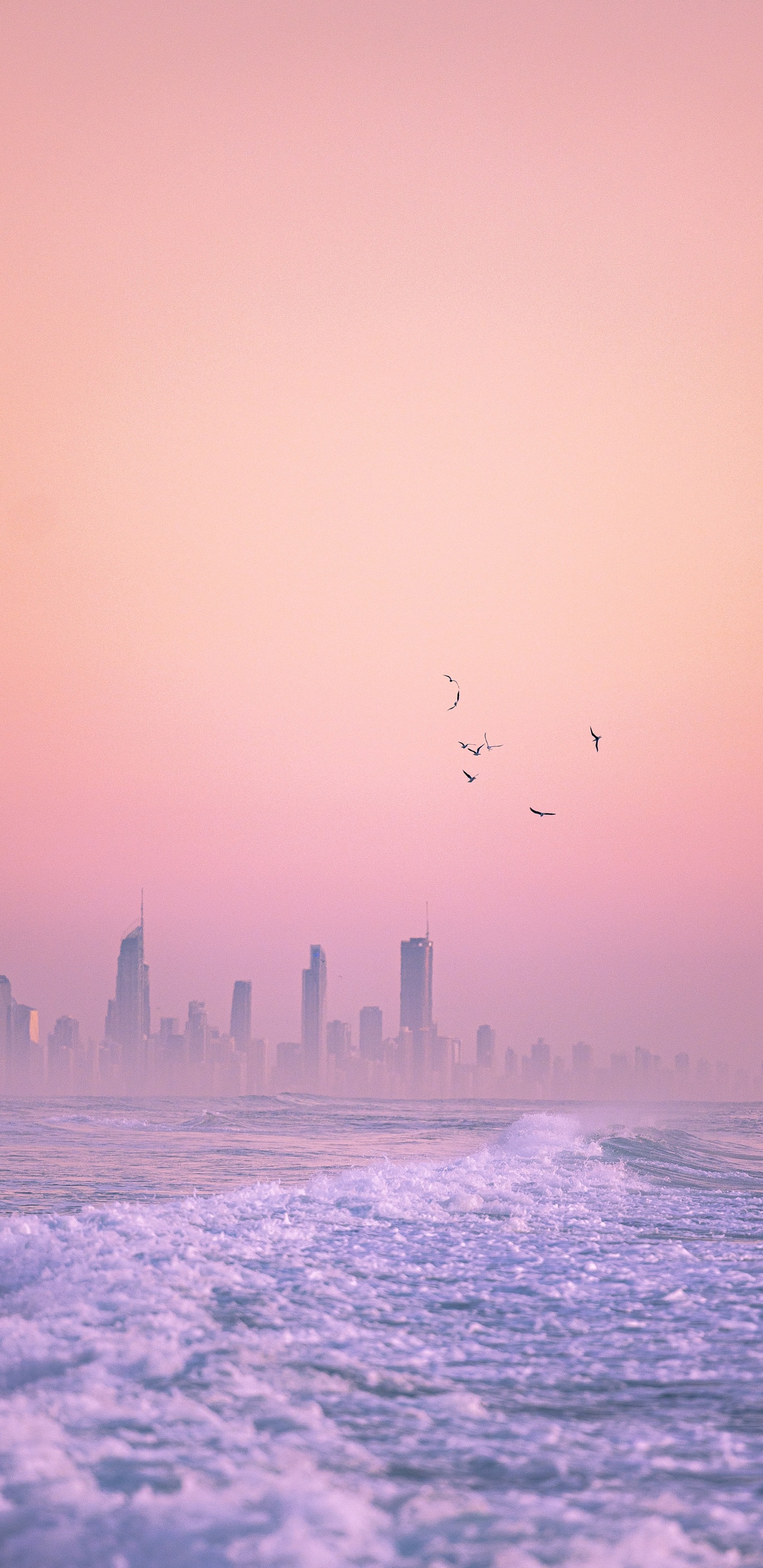 Horizon, Hardcover 3, Water, Atmosphere, Bird. Wallpaper in 1440x2960 Resolution