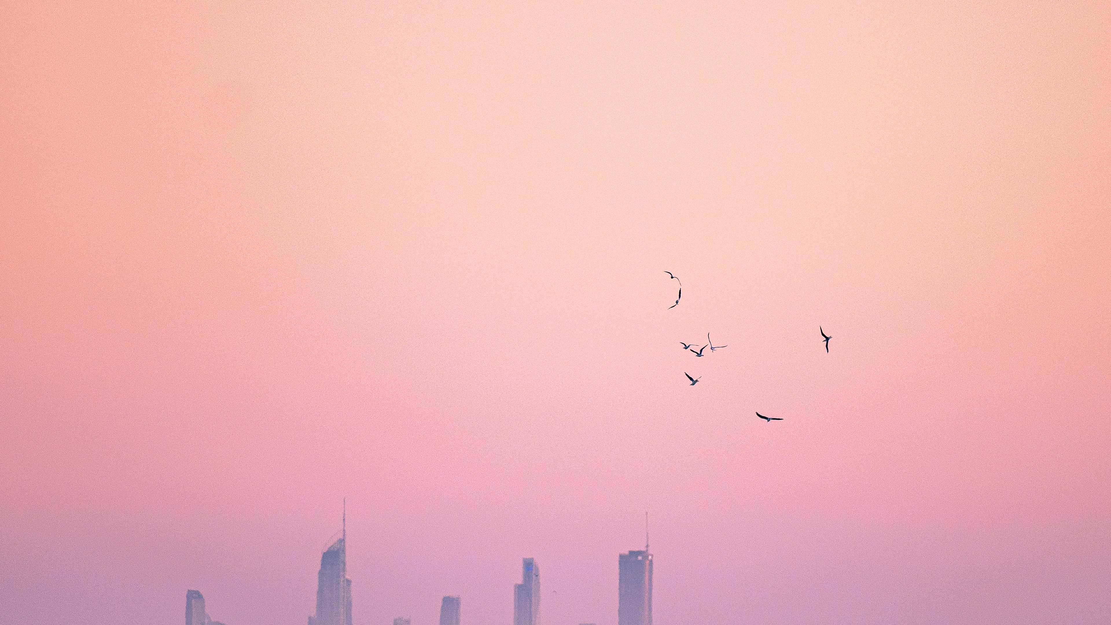 Horizon, Hardcover 3, Water, Atmosphere, Bird. Wallpaper in 3840x2160 Resolution