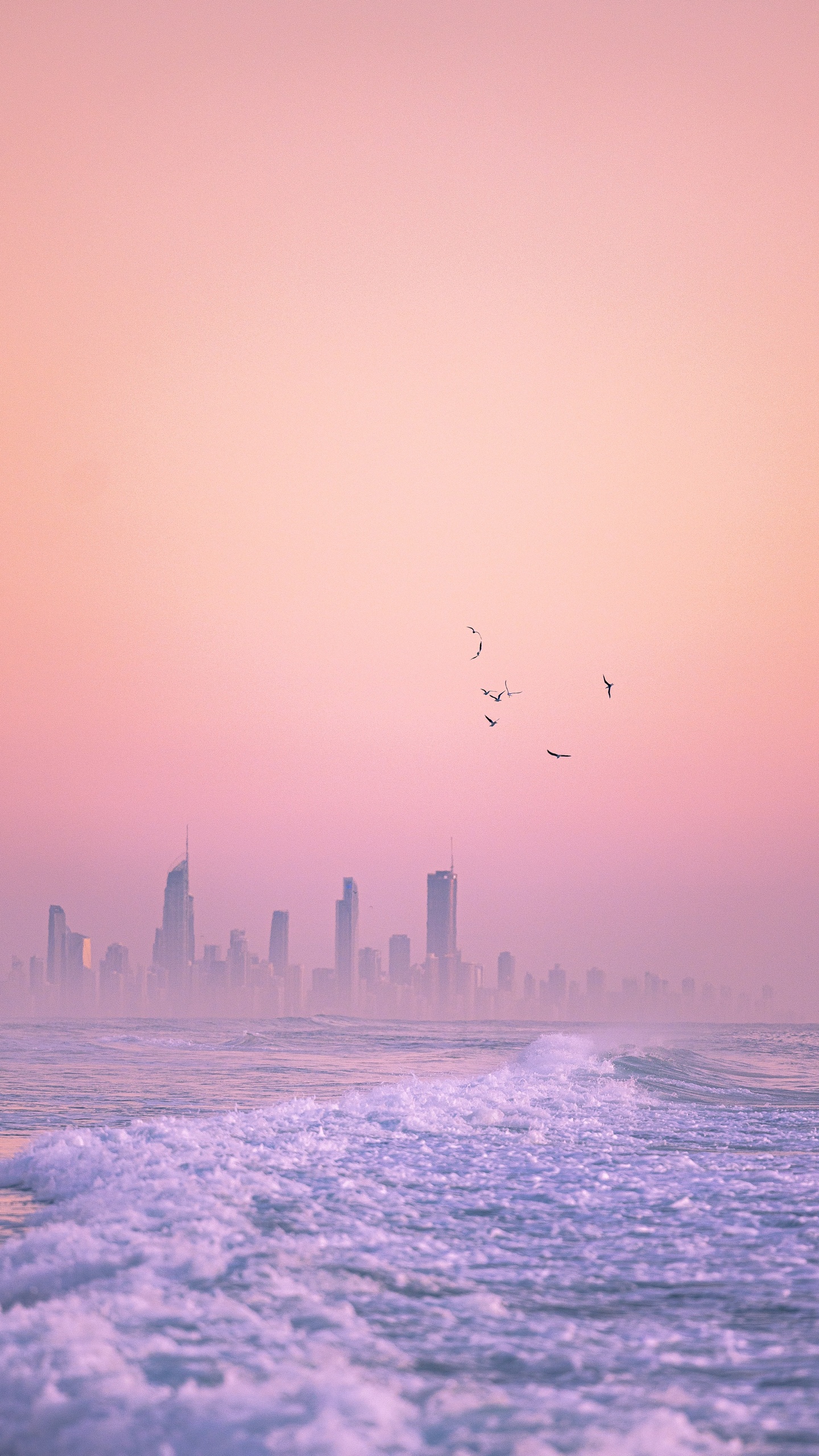 Horizont, Gebundene Ausgabe 3, Wasser, Atmosphäre, Vogel. Wallpaper in 1440x2560 Resolution