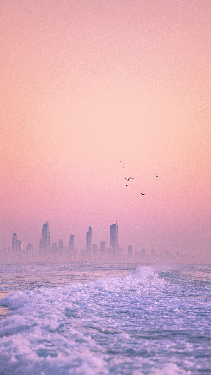 Horizont, Gebundene Ausgabe 3, Wasser, Atmosphäre, Vogel. Wallpaper in 720x1280 Resolution