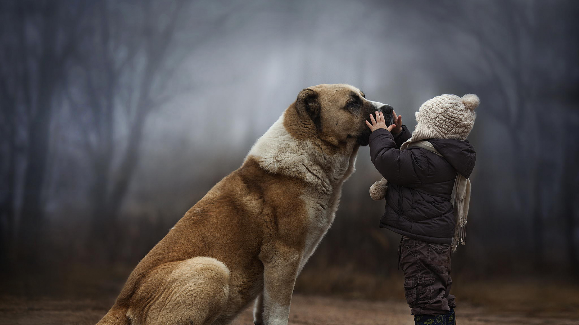 Man in Black Jacket and Black Pants Holding Brown and White Short Coated Dog. Wallpaper in 1920x1080 Resolution