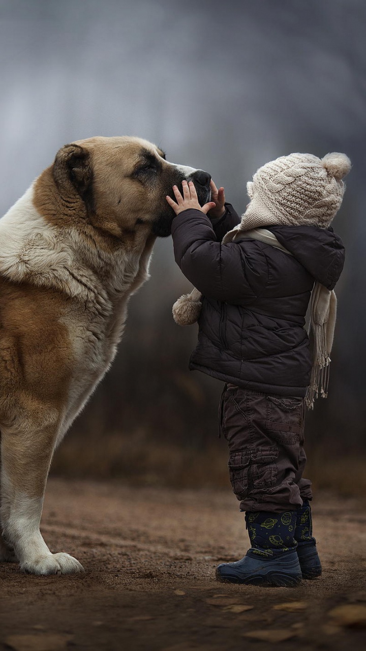 Man in Black Jacket and Black Pants Holding Brown and White Short Coated Dog. Wallpaper in 720x1280 Resolution