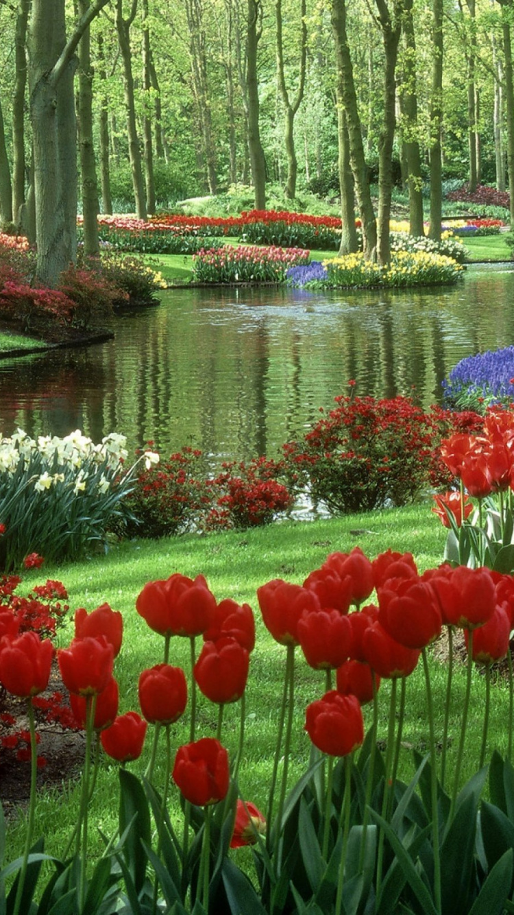 Red and White Flowers Near River. Wallpaper in 750x1334 Resolution