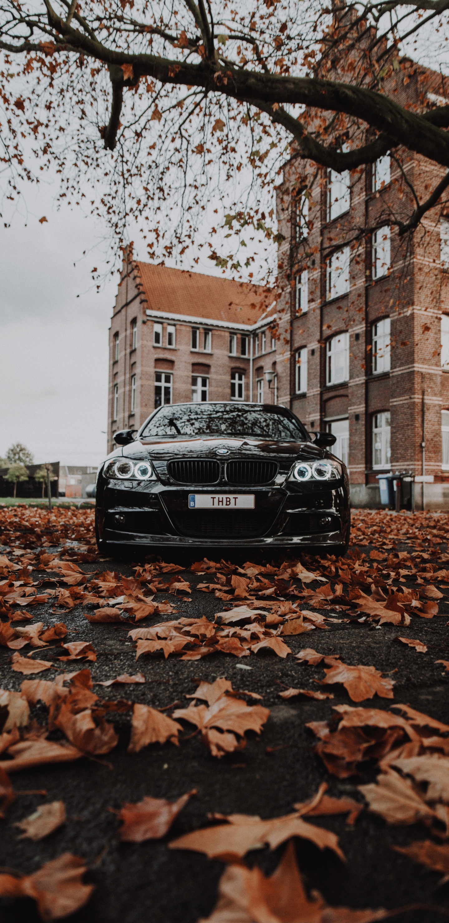 Bmw m3 in Autumn, BMW, Car, Bayerische Motoren Werke AG, 2016 BMW M3. Wallpaper in 1440x2960 Resolution