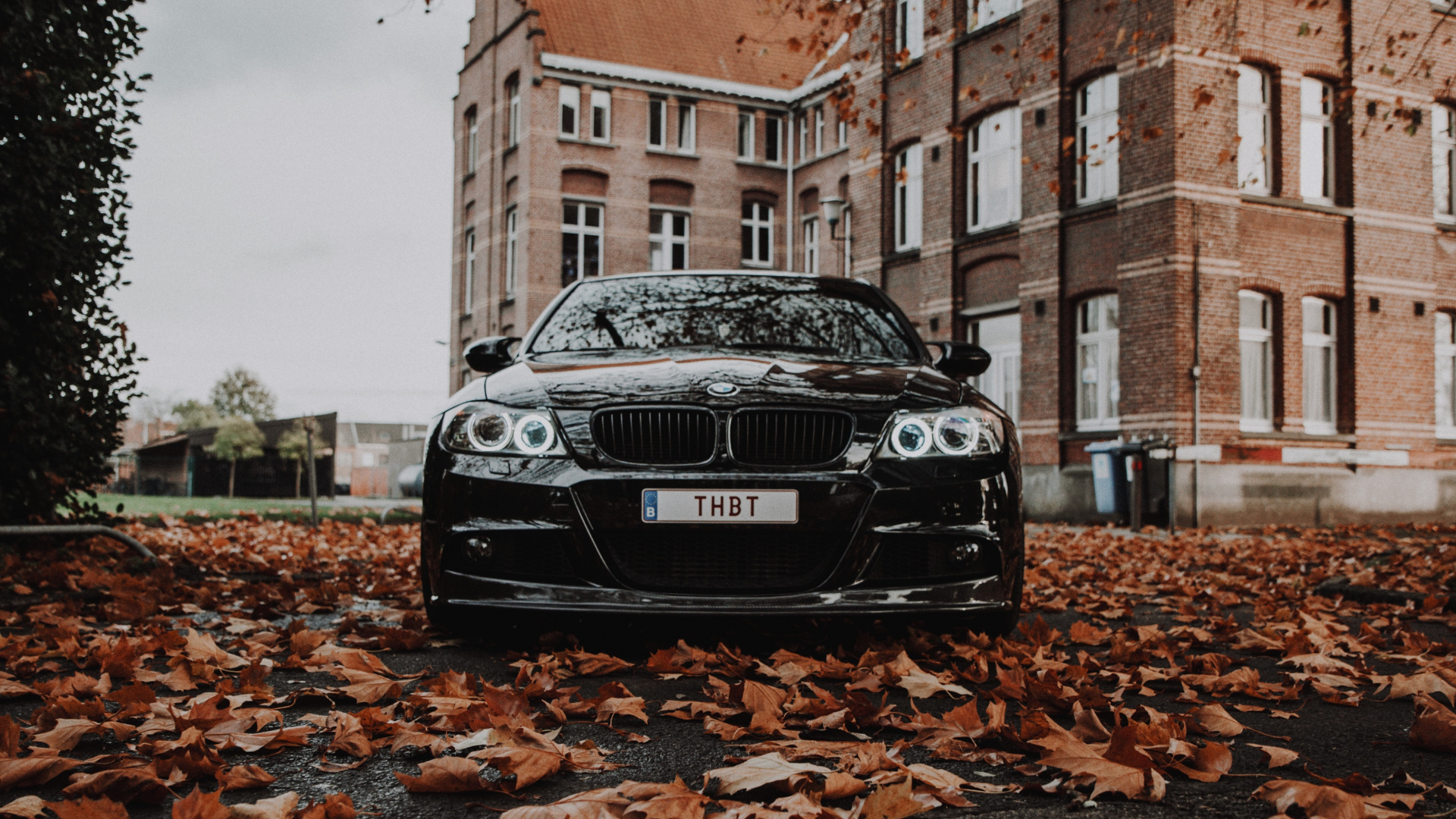 Bmw m3 in Autumn, BMW, Car, Bayerische Motoren Werke AG, 2016 BMW M3. Wallpaper in 1920x1080 Resolution