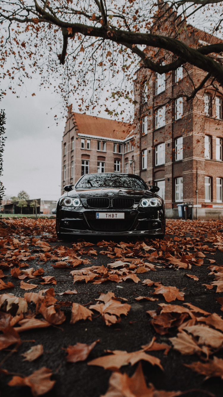 Bmw m3 in Autumn, BMW, Car, Bayerische Motoren Werke AG, 2016 BMW M3. Wallpaper in 750x1334 Resolution