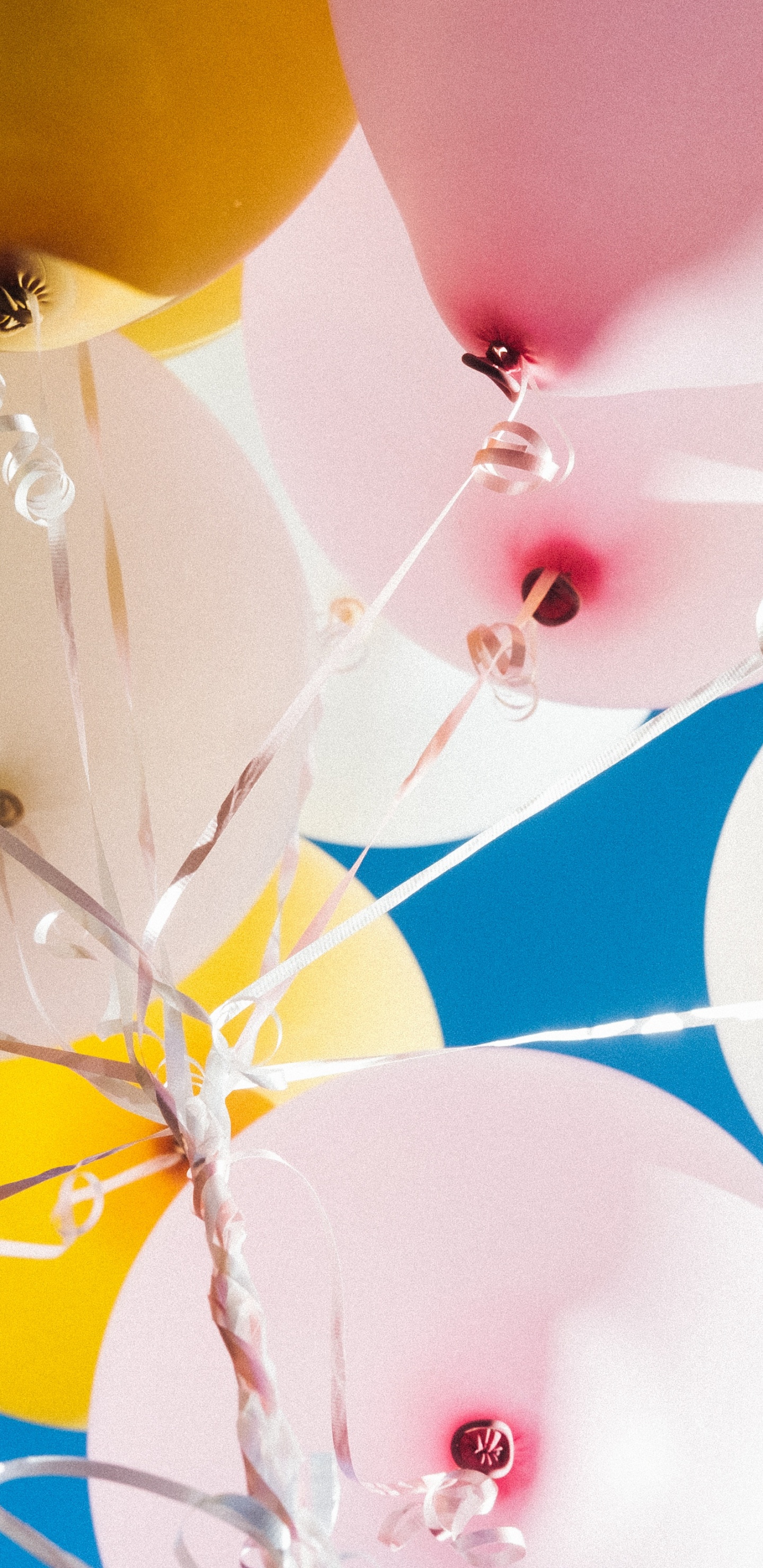 Gelbe Blaue Und Rosa Luftballons. Wallpaper in 1440x2960 Resolution