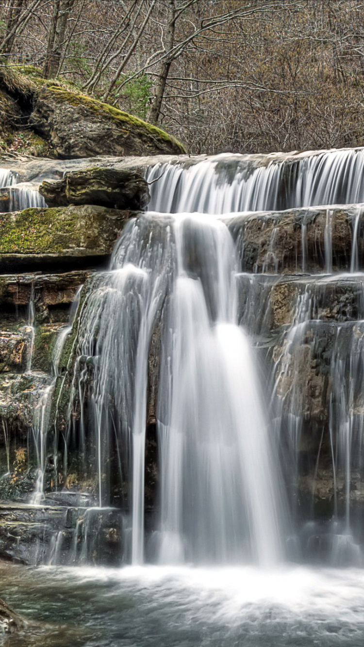 L'eau Tombe Dans Les Bois. Wallpaper in 750x1334 Resolution